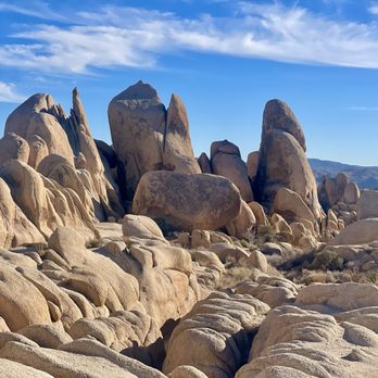 Joshua Tree National Park - Parks Near Me - Joshua Tree, California Joshua Tree National Park - Parks Near Me - Joshua Tree, California