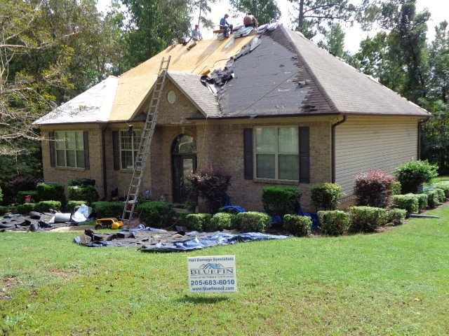 Slide of Bluefin Exteriors