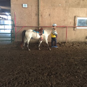 Misty Ridge Farm - Cassie being lead around the arena! - Horseback Riding Near Me - Melbourne, Kentucky Misty Ridge Farm - Cassie being lead around the arena! - Horseback Riding Near Me - Melbourne, Kentucky