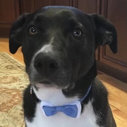 Kona Kona