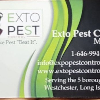 Exto Pest Control - Business card - Pest Control Near Me Exto Pest Control - Business card - Pest Control Near Me