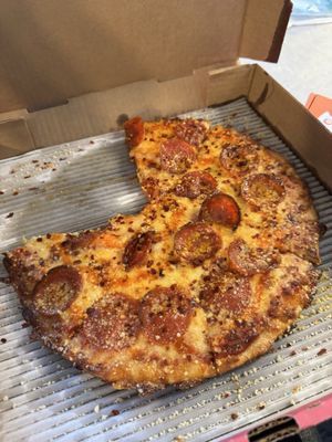 Pizza Cat by null