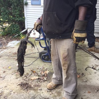 Mr Root Out - Pulling a pile of roots out of the drain - Plumbing Near Me Mr Root Out - Pulling a pile of roots out of the drain - Plumbing Near Me