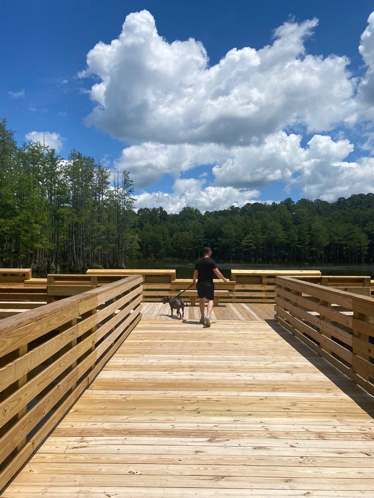 Carvers Creek State Park Image