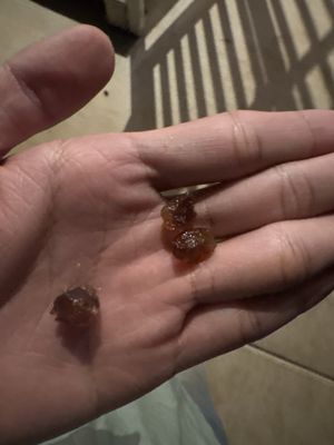 Jack in the Box by null