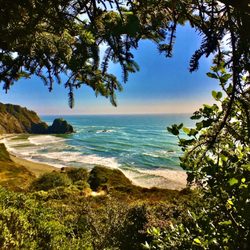 Endert's Beach - The sandy beach through the pines