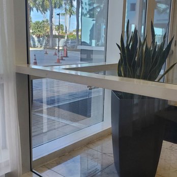 Bagel Express - a potted plant in front of a window - Bagels Near Me - Aventura, Florida Bagel Express - a potted plant in front of a window - Bagels Near Me - Aventura, Florida
