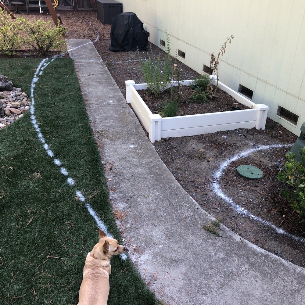 Brasmerica Paver systems - Playing with the layout with Carlos and Alberto, both helping with layout ideas...and our dog supervising! - Masonry/Concrete Near Me - Pinole, California Brasmerica Paver systems - Playing with the layout with Carlos and Alberto, both helping with layout ideas...and our dog supervising! - Masonry/Concrete Near Me - Pinole, California