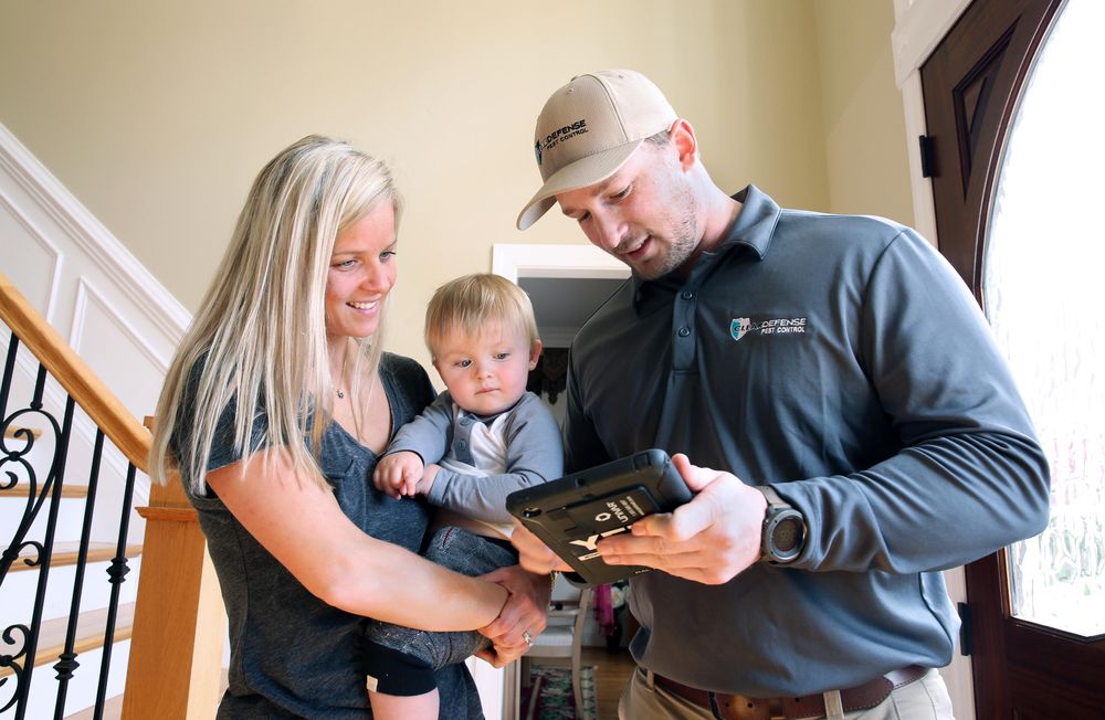 CLEARDEFENSE PEST CONTROL Updated September 2024 20 Photos & 15
