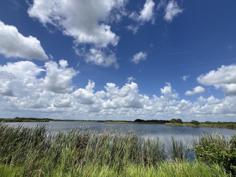 Viera Wetlands Logo