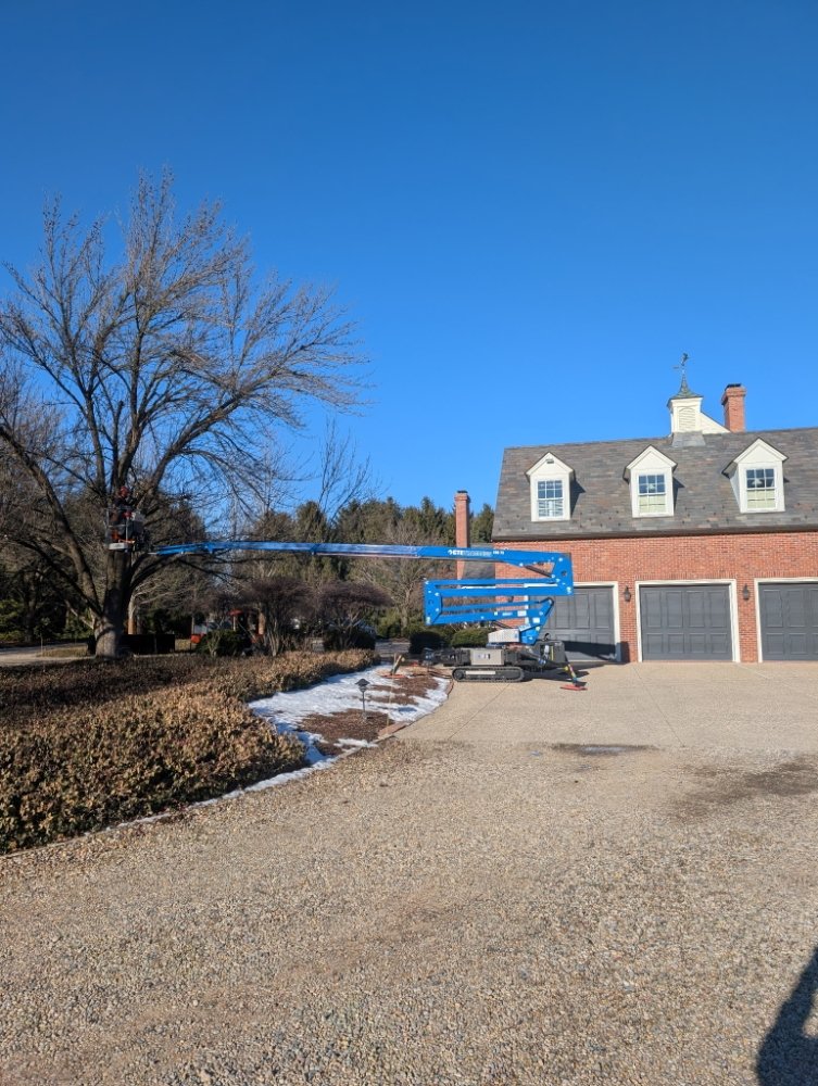 Arborist - tree service in Bloomington, IL