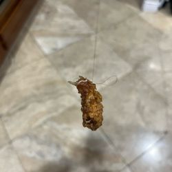 Albertsons - Thanks to the person that fried the chicken on 11/20/23 for adding your hair to it...  Absolutely disgusting