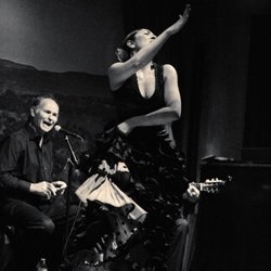 Cordero Flamenco