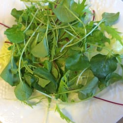 Hortifruti