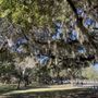 Photo of Daffin Park