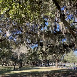Daffin Park