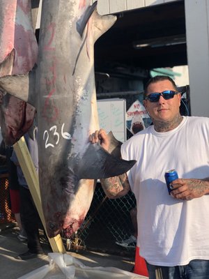 Stella Maris Bait & Tackle by null