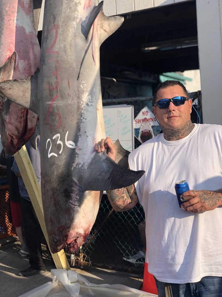 STELLA MARIS BAIT & TACKLE 13 Reviews Sporting Goods 2702 Emmons