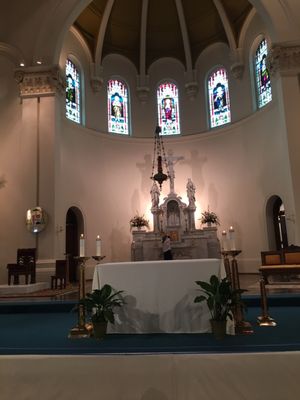 Cathedral of Our Lady of Lourdes by null
