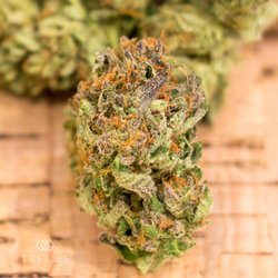 Doctor's Orders Cannabis - Gobbily Goo from @TrellisFarms just $15 an 1/8th every day!