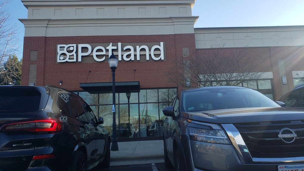 PETLAND RALEIGH Updated June 2024 4031 Davis Dr, Morrisville, North Carolina Pet Stores