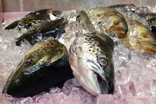 149 Steam Fish by null