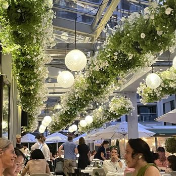 Soul - Love love love the flowers. - Bars Near Me - Auckland, AUK Soul - Love love love the flowers. - Bars Near Me - Auckland, AUK
