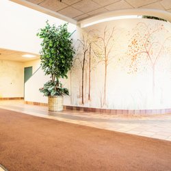 Princeton Pain and Spine Institute
