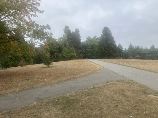 Woodland Park by null