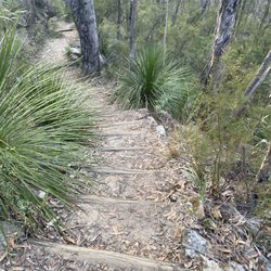 Blue Mountains National Park Glenbrook