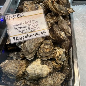 Frog Island Seafood - Fresh Oysters - Seafood Markets Near Me - Barco, North Carolina Frog Island Seafood - Fresh Oysters - Seafood Markets Near Me - Barco, North Carolina