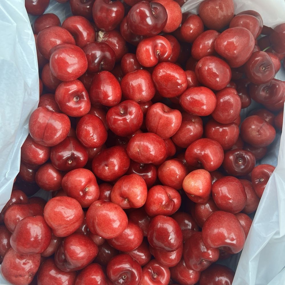 Cherry Time - Our cherry haul - Pick Your Own Farms Near Me - Brentwood, California