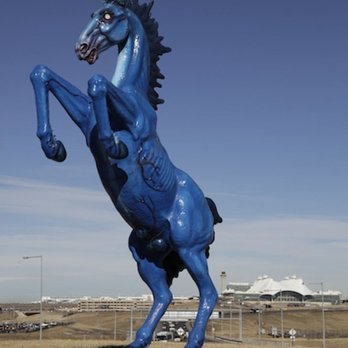 Colorado Cannabis Tours - This dude is so cool. - Cannabis Tours Near Me - Denver, Colorado