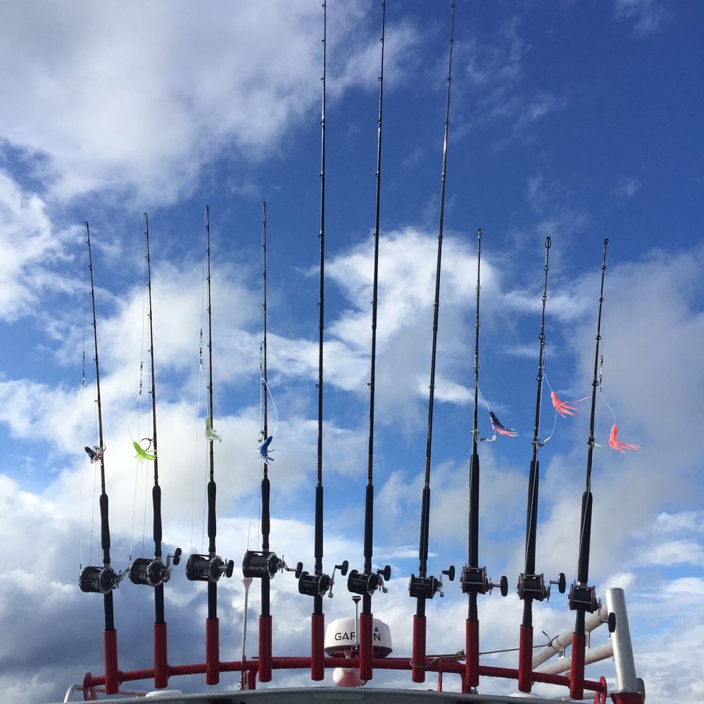 Tok River Outfitters - Excellent ship with awesome equipment - Boat Charters Near Me - Hoonah, Alaska Tok River Outfitters - Excellent ship with awesome equipment - Boat Charters Near Me - Hoonah, Alaska