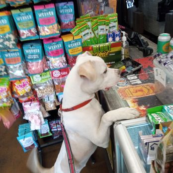 Bark & Bark Dog Grooming Salon - Pet Groomers Near Me - Phoenix, Arizona Bark & Bark Dog Grooming Salon - Pet Groomers Near Me - Phoenix, Arizona