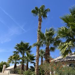 Islandscapes