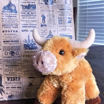 Frontier Times Museum - Chisholm the stuffed longhorn says hello.  Love the period-style bag he came in too. - Museums Near Me - Bandera, Texas