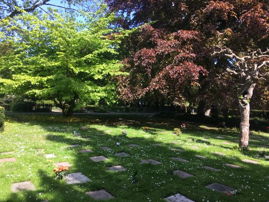 Assistens Cemetery by null