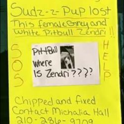 Sudz-z-Pups - Just wanted to show proof