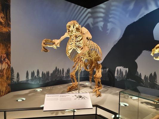 Royal Alberta Museum by null