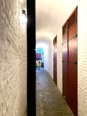 Plaza de Toros de la Real Maestranza de Caballería de Sevilla by null