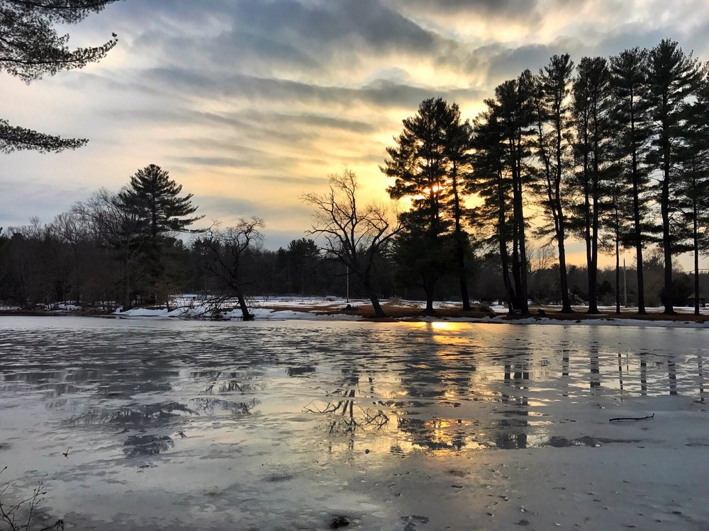 DOG PARK AT DUFRESNE PARK Updated August 2024 1959 Taylor St