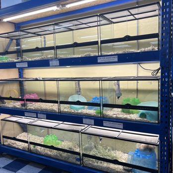 Pet Station - Reno - Pet Stores Near Me - Reno, Nevada Pet Station - Reno - Pet Stores Near Me - Reno, Nevada