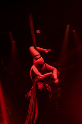 Faena Theater by null