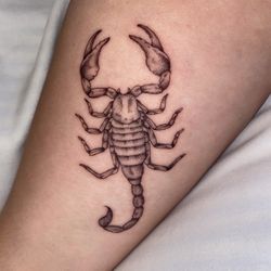 Black Magic Tattoo - Scorpion tattoo