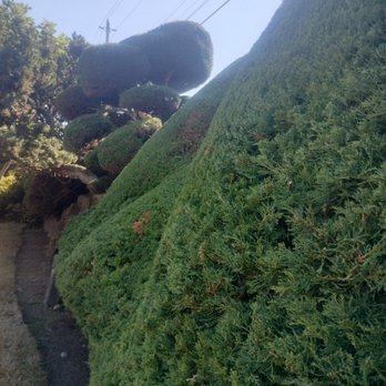 E&h Landscaping - Landscaping Near Me E&h Landscaping - Landscaping Near Me