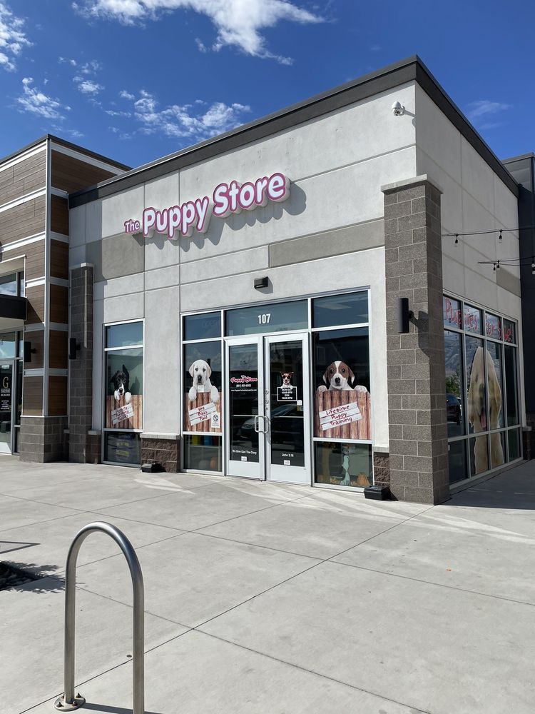 THE PUPPY STORE 26 Reviews 576 N Mill Rd, Vineyard, Utah Pet