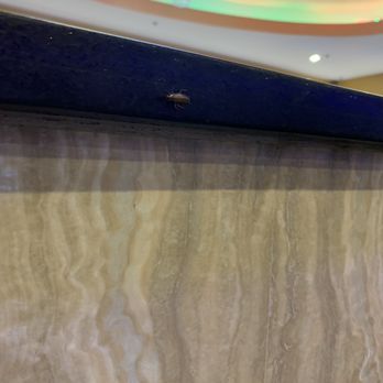 Asia Buffet - Chinese Near Me - Panorama City, California Asia Buffet - Chinese Near Me - Panorama City, California