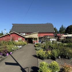 Garland Nursery - Garland. Nursery