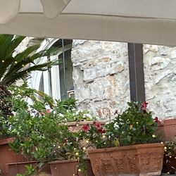 L'Olivapazza - Aufgang Terrasse
